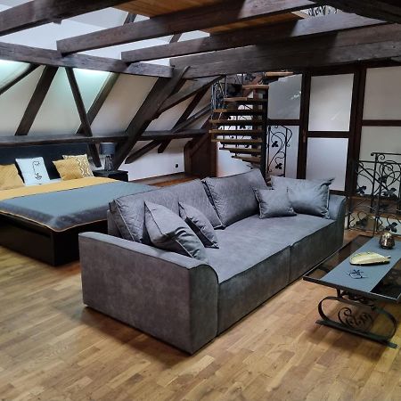 Galerie Vila Lucia 5 -Loft Apartman Plzeň Extérieur photo