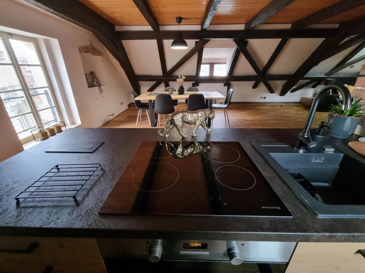 Galerie Vila Lucia 5 -Loft Apartman Plzeň Extérieur photo