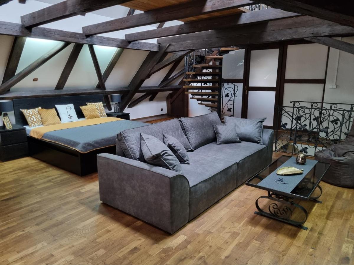 Galerie Vila Lucia 5 -Loft Apartman Plzeň Extérieur photo