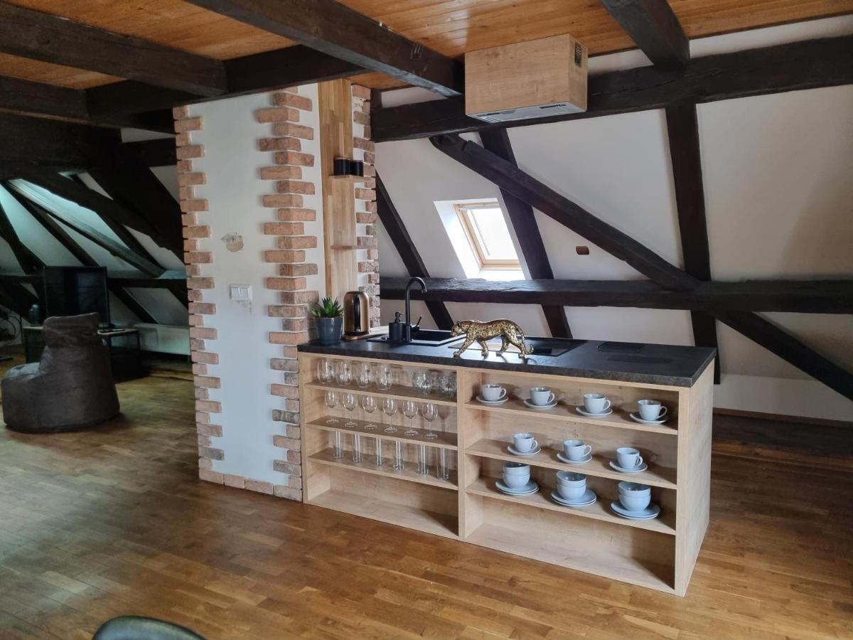 Galerie Vila Lucia 5 -Loft Apartman Plzeň Extérieur photo