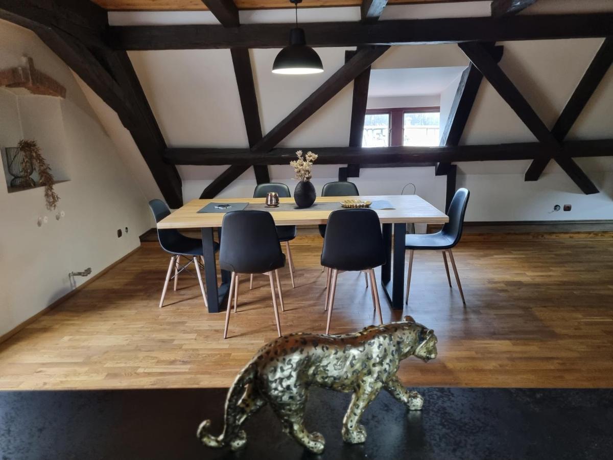 Galerie Vila Lucia 5 -Loft Apartman Plzeň Extérieur photo